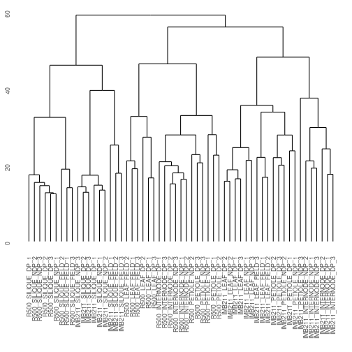 plot of chunk hclust genes 1